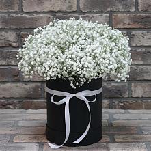 Цветочная композиция из Гипсофила в шляпной коробке в Поспелихе