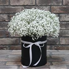 Цветочная композиция из Гипсофила в шляпной коробке в Поспелихе
