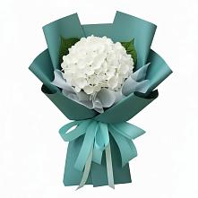 Букет цветов из:  Гортензия в Поспелихе